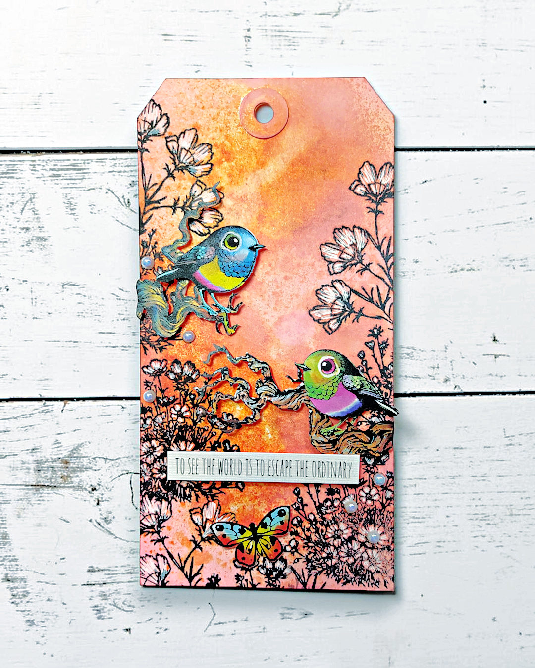 Creative Ember Designs 2026 Complete Collection